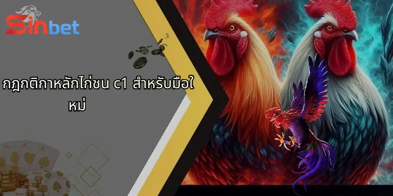 กฎกติกาหลักไก่ชน c1 สำหรับมือใหม่