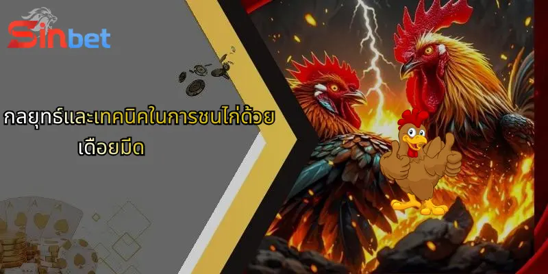 การชนไก่ด้วยเดือยมีด: สัมผัสโลกเดิมพันสุดมันส์กับ Sinbet 5 กลยุทธ์และเทคนิคในการชนไก่ด้วยเดือยมีด