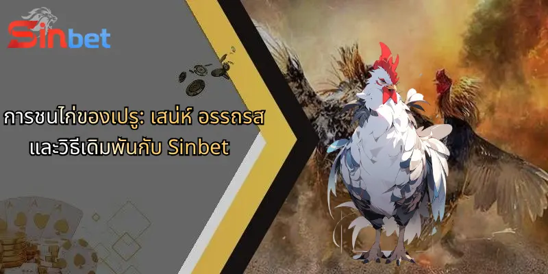 การชนไก่ของเปรู: เสน่ห์ อรรถรส และวิธีเดิมพันกับ Sinbet