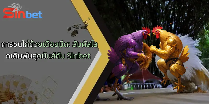 การชนไก่ด้วยเดือยมีด: สัมผัสโลกเดิมพันสุดมันส์กับ Sinbet 1 การชนไก่ด้วยเดือยมีด: สัมผัสโลกเดิมพันสุดมันส์กับ Sinbet