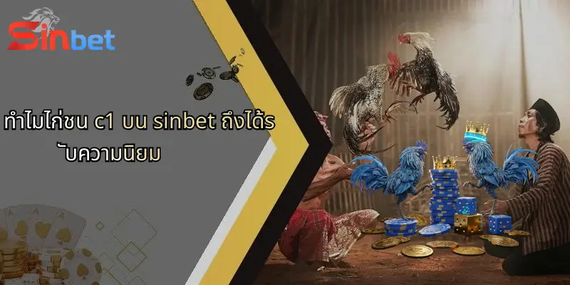 ทำไมไก่ชน c1 บน sinbet ถึงได้รับความนิยม