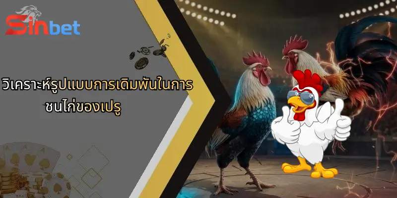 วิเคราะห์รูปแบบการเดิมพันในการชนไก่ของเปรู
