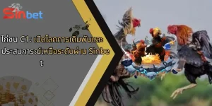 ไก่ชน C1: เปิดโลกการเดิมพันและประสบการณ์เหนือระดับผ่าน Sinbet
