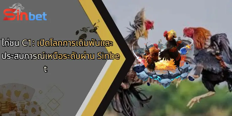 ไก่ชน C1: เปิดโลกการเดิมพันและประสบการณ์เหนือระดับผ่าน Sinbet